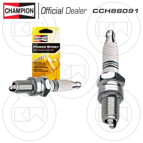 Champion 8809 power - power, sport
